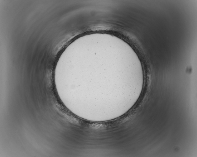 X0000110731217200907101420
