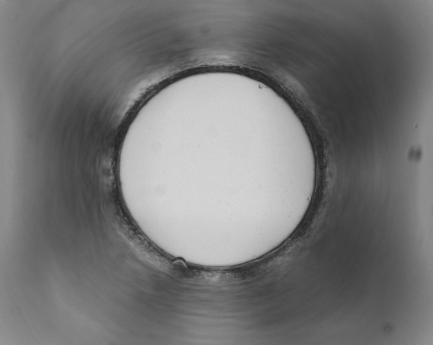 X0000110731218200907101420