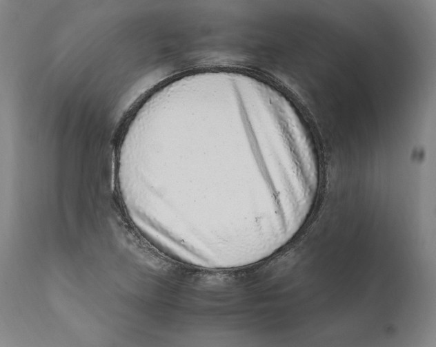 X0000110731219200907101420
