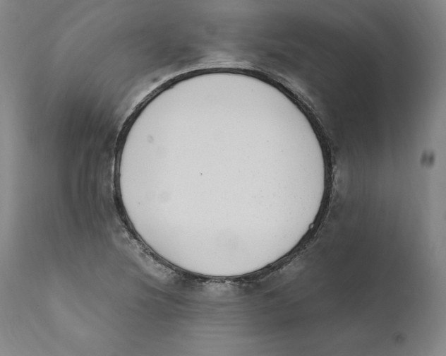X0000110731220200907101420