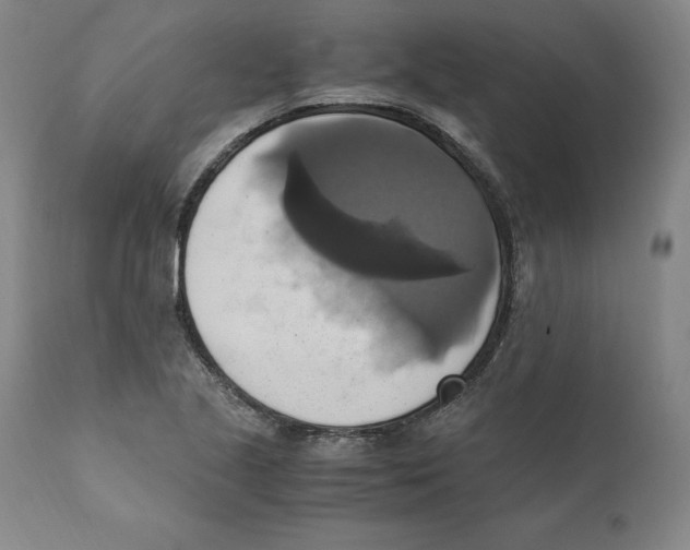 X0000110731221200907101420