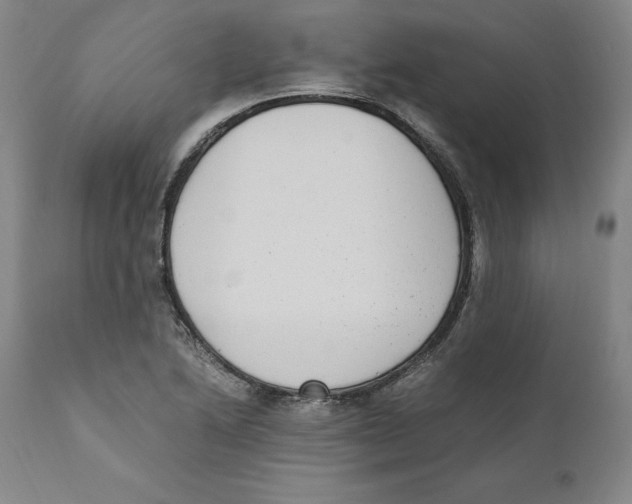 X0000110731222200907101420