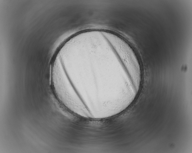 X0000110731223200907101420