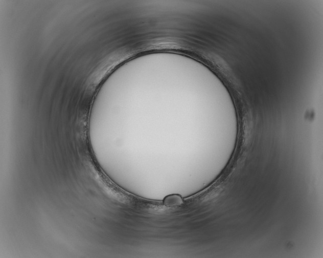 X0000110731225200907101420