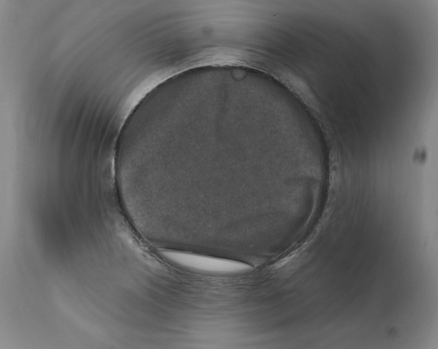 X0000110731226200907101420