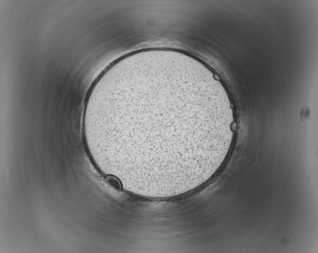 X0000110731228200907101420