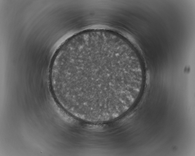 X0000110731229200907101420