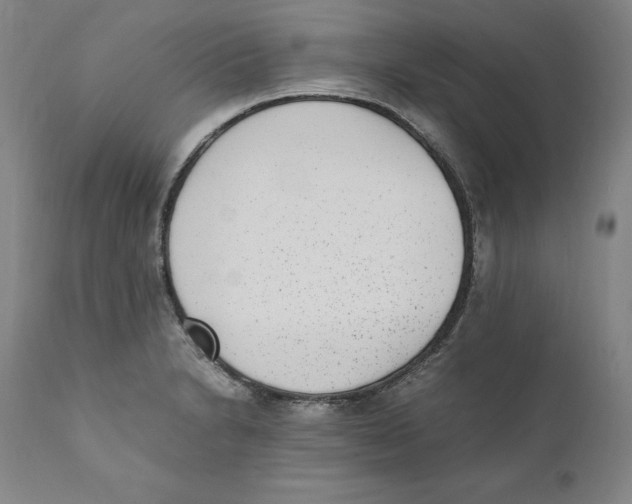 X0000110731230200907101420