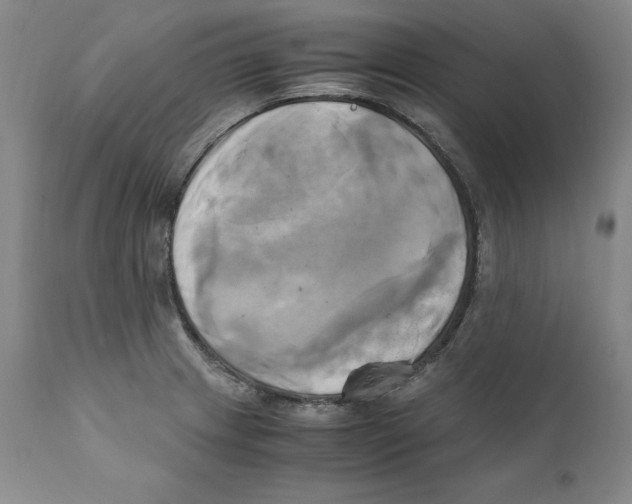X0000110731233200907101421