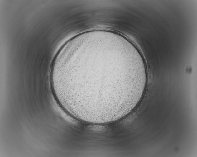 X0000110731235200907101421