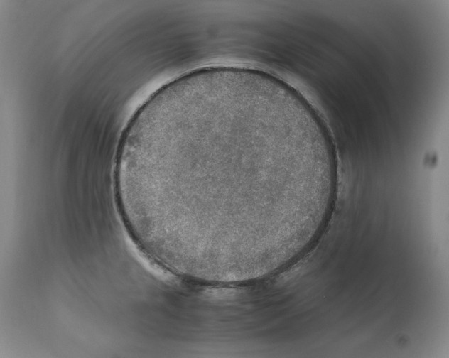 X0000110731237200907101421