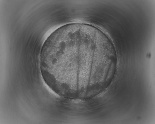 X0000110731239200907101421