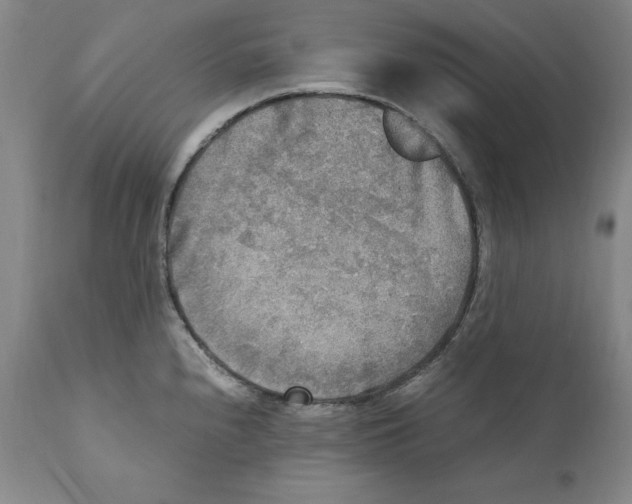 X0000110731240200907101421