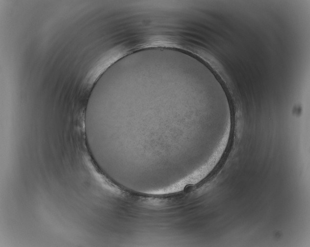 X0000110731241200907101421