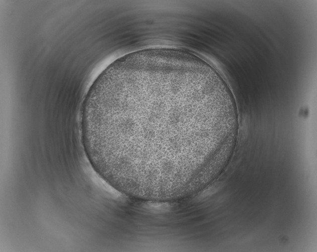 X0000110731243200907101421