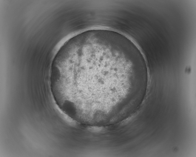 X0000110731245200907101421