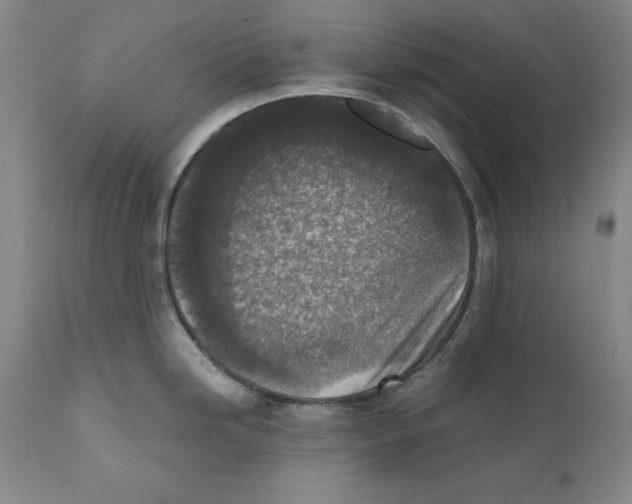 X0000110731246200907101421