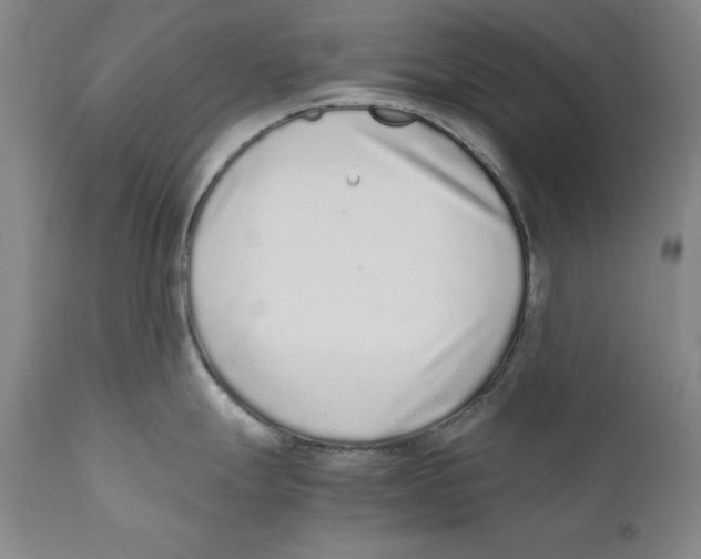 X0000110731247200907101421