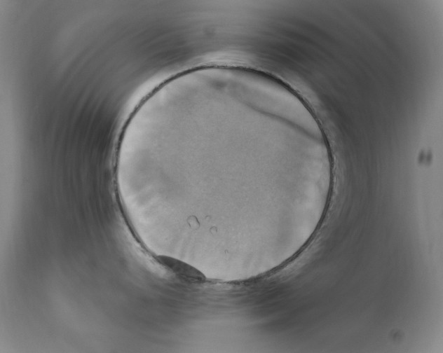 X0000110731248200907101421