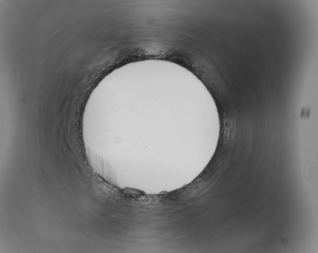 X0000110731249200907101420