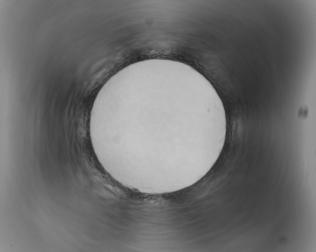 X0000110731250200907101420