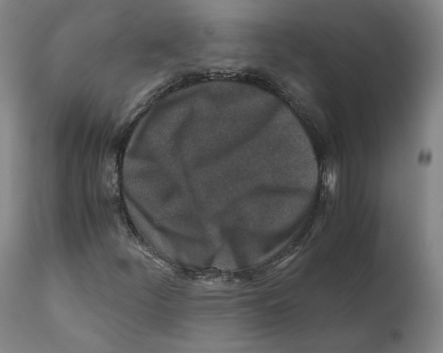 X0000110731252200907101420
