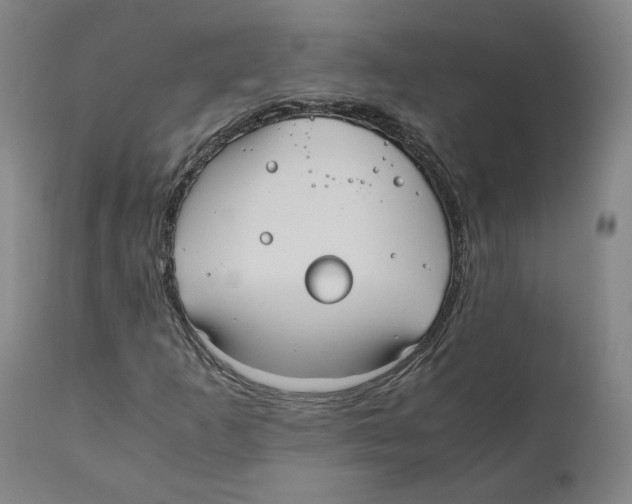 X0000110731253200907101420