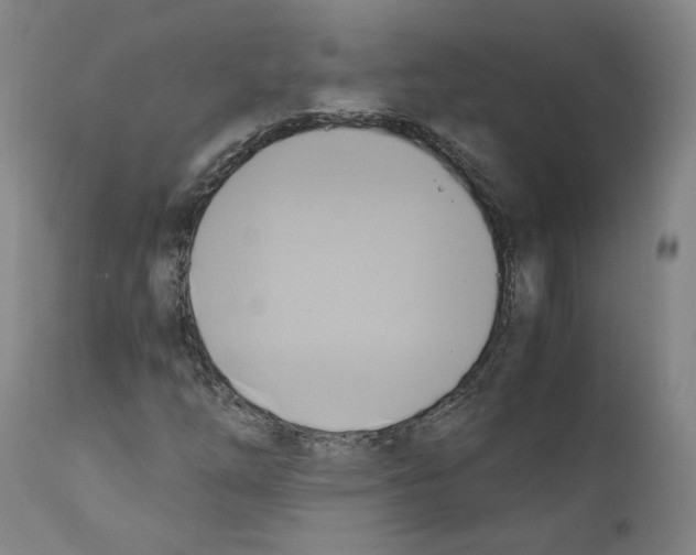 X0000110731254200907101420