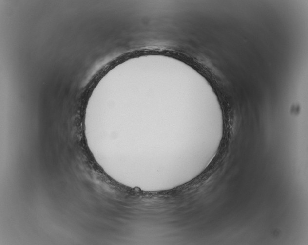 X0000110731256200907101420