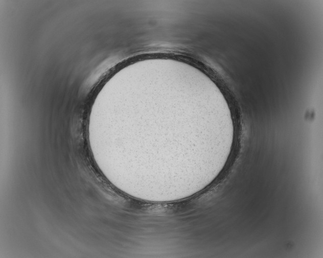 X0000110731259200907101420