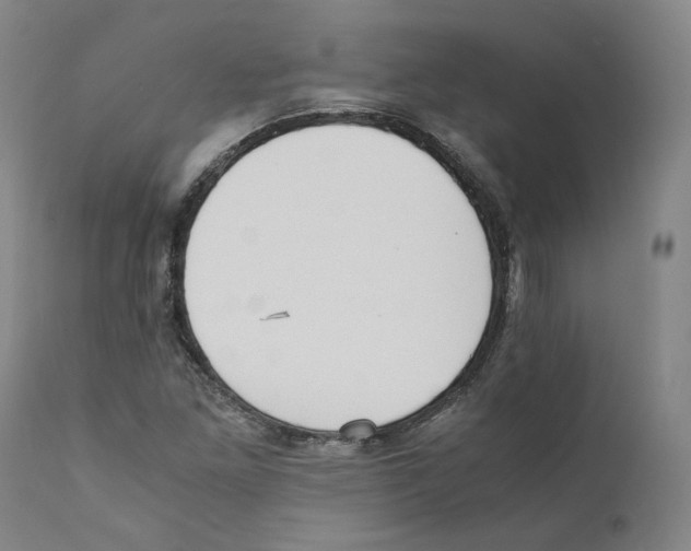 X0000110731261200907101420