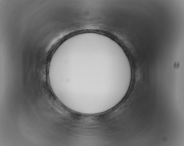 X0000110731262200907101420