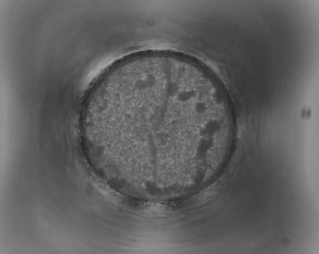 X0000110731263200907101420