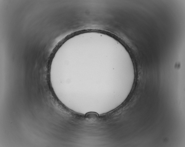 X0000110731264200907101420