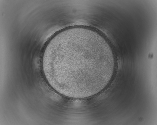 X0000110731266200907101420
