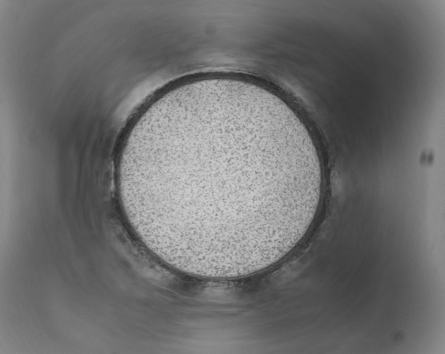 X0000110731267200907101420
