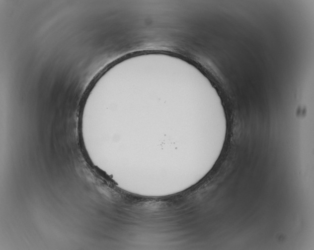X0000110731268200907101420