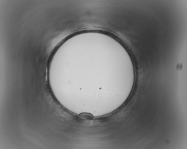 X0000110731269200907101420