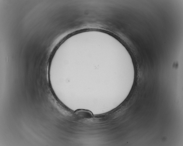 X0000110731272200907101420