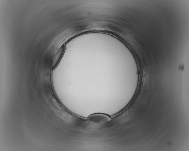 X0000110731273200907101420
