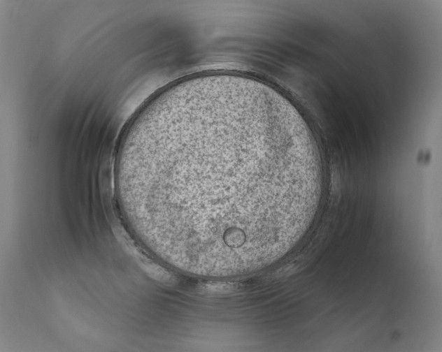 X0000110731274200907101420