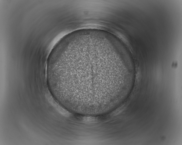 X0000110731275200907101420