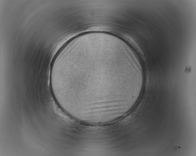X0000110731276200907101420