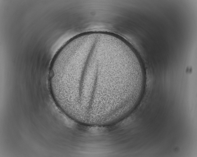 X0000110731277200907101420