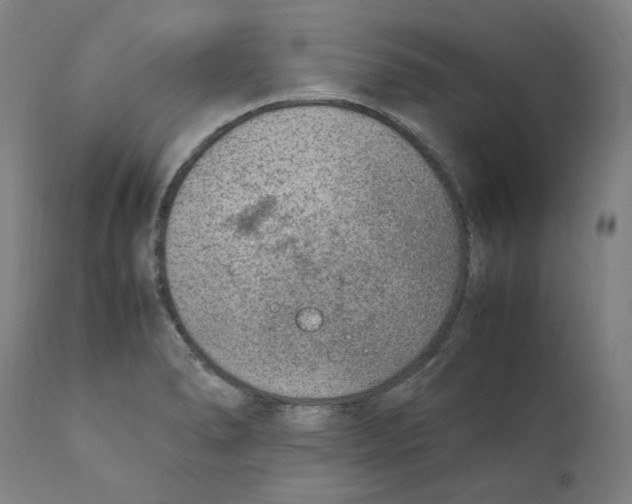 X0000110731278200907101420