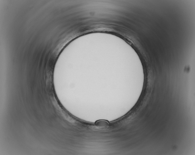 X0000110731281200907101420