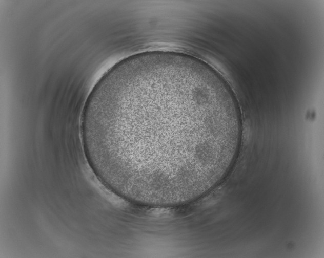X0000110731283200907101420