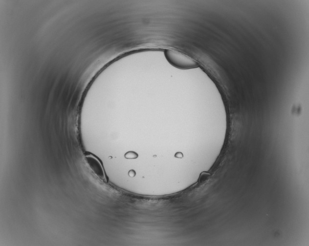 X0000110731284200907101420