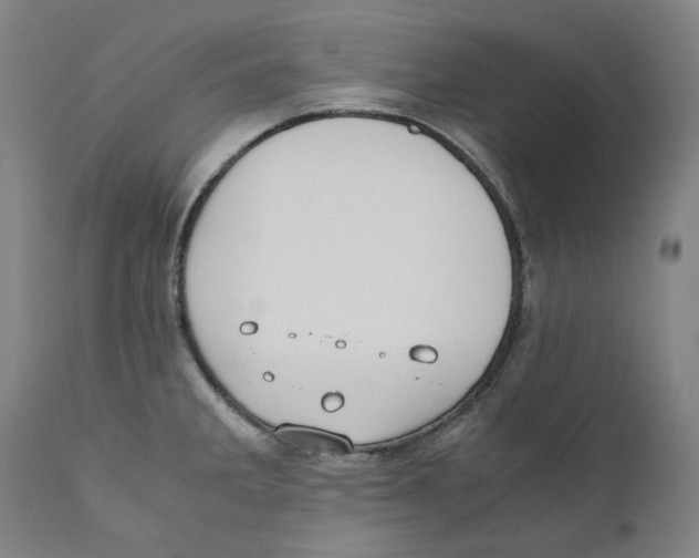 X0000110731285200907101420