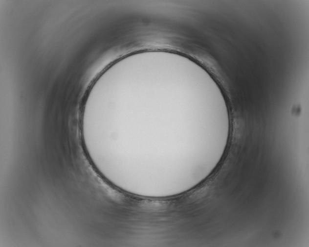 X0000110731286200907101419